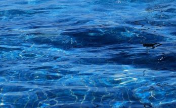 nitrito en el acuario