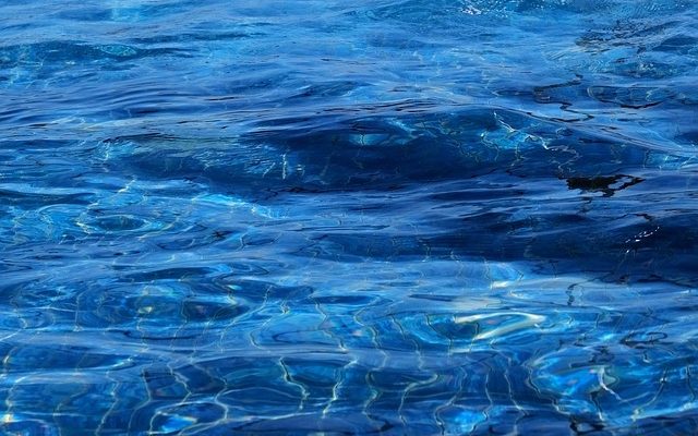 nitrito en el acuario